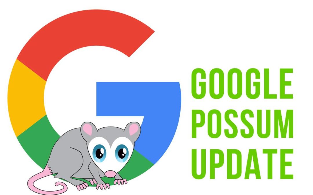 Everything You Need to Know About the Possum Update (We Bet You Didn’t Even Know It Was a Thing)